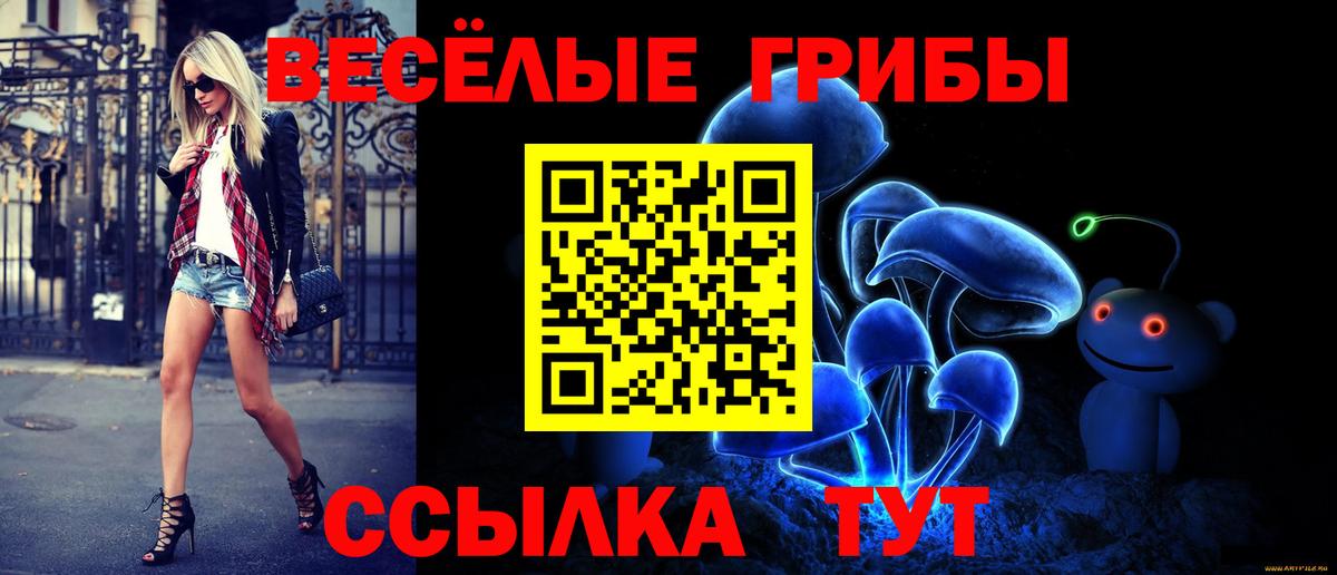 Псилоцибиновые грибы Psilocybe  Вход с VPN  Псилоцибиновые грибы Psilocybe  Тайшет 